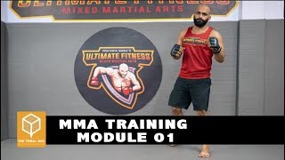 Beginners MMA Crash Course Lesson 1 Basics [upl. by Vocaay594]