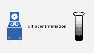 Introduction to Analytical Ultracentrifugation AUC 101 [upl. by Nikolas]