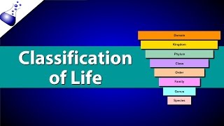 Classification of Life [upl. by Orelee]