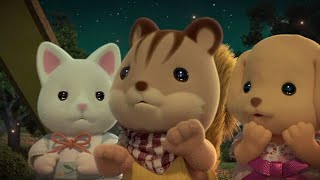 Clearing The Rumours 👀Calico Critters [upl. by Ck]