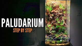 How to build a Paludarium Vivarium [upl. by Atinid]