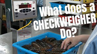 What does a Checkweigher Do [upl. by Hendon]