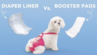 Diaper Liners vs Booster Pads Which is the Best Option for Your Dog [upl. by Annala]