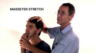 How to Stretch the Masseter Muscle  Trigger Point Therapy [upl. by Etnohc185]