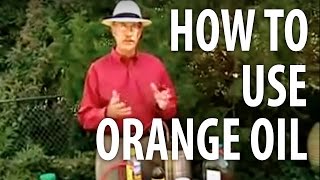 How To Use Orange Oil  The Dirt Doctor [upl. by Neirda64]