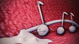 This is my Otamatone [upl. by Eenar]