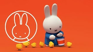 welcome to the official miffy channel [upl. by Estrin]