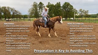 How To Keep A Horse From Bucking [upl. by Betteanne]