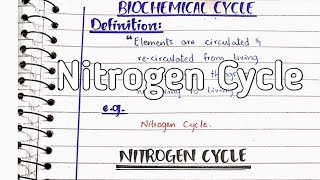 Nitrogen cycle  Nitrogen fixation [upl. by Edialeda]