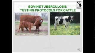 Bovine TB Testing Protocols for Cattle  MDARD [upl. by Oscar]