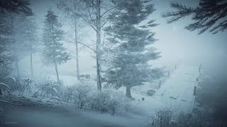 Intense Winter Storm at the Lake┇Howling Wind amp Blowing Snow ┇Sounds for Sleep Study amp Relaxation [upl. by Oiceladni493]