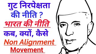 गुट निरपेक्षता आंदोलन क्या है  गुट निरपेक्षता किसे कहते हैं  Non Alignment Movement in Hindi [upl. by Aiello237]