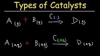 Homogeneous vs Heterogeneous Catalysts  Basic Introduction [upl. by Ahseal]