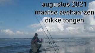 Zeevissen augustus 2021 maatse zeebaarzen dikke tongen [upl. by Reel]