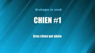 CHIEN 1 Gros chien qui aboie bruitage gratuit [upl. by Aytak34]