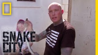 The Deadly Black Mamba  Snake City [upl. by Alue]