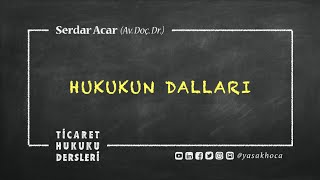 HTK3 HUKUKUN DALLARI Kamu Hukuku  Özel Hukuk Hukukun Temel Kavramları [upl. by Allin]