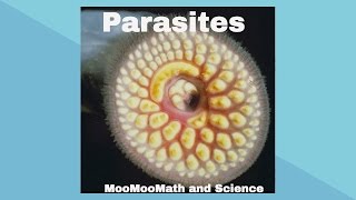 ParasitesSymbiotic Relationships [upl. by Tsirc]