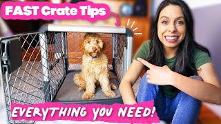 FASTEST Crate Training amp Why you NEED this Dog Crate 🐶 [upl. by Clywd290]