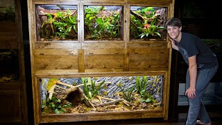 Easy DIY Plywood Reptile Enclosures [upl. by Enohs]