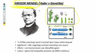 Lewenswetenskappe GR12 Genetika Les2 [upl. by Huldah]