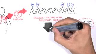 DNA methylation biomarkers  Garvan Institute [upl. by Lamoureux]