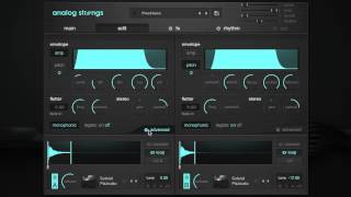 ANALOG STRINGS by Output  Walkthrough [upl. by Odine]