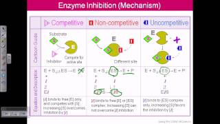 Enzyme inhibition [upl. by Sothena187]