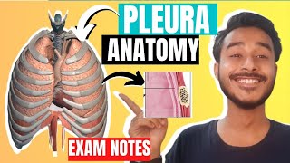 Pleura anatomy 3D  Difference between visceral and parietal pleura [upl. by Errehs11]