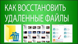 6 способов восстановить удаленные файлы [upl. by Amelia]