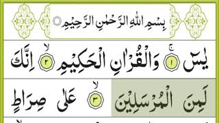 Surah yaseen full text  surah yaseen 1 to 7 aayaat  Learn online for childrens [upl. by Gagne67]