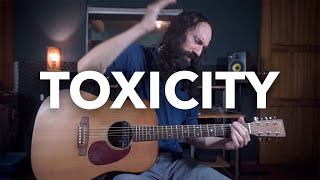 Toxicity  SYSTEM OF A DOWN  Acoustic Guitar Cover [upl. by Ignatius]