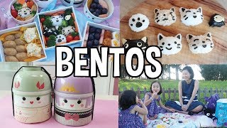 Inside Japanese Bento Box Culture ft BentoampCo [upl. by Giefer]