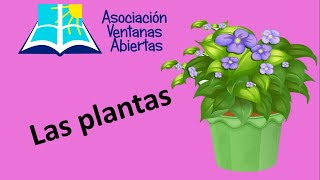 Las Plantas Tercer grado de Primaria [upl. by Irehs]