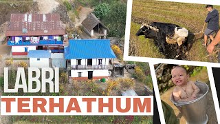 Limbu Village Vlog  Terhathum  Nepal [upl. by Arrej951]