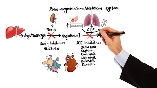 Pharmacology  HYPERTENSION amp ANTIHYPERTENSIVES MADE EASY [upl. by Far]