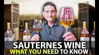 What you Need to Know about Sauternes Wine  Your 5Minute Guide [upl. by Doerrer]