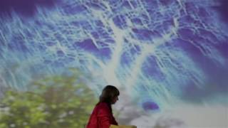 Pipilotti Rist at New Museum New York [upl. by Graubert]