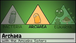 Archaea [upl. by Tiemroth]