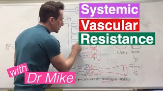 Systemic Vascular Resistance Total Peripheral Resistance  Cardiology [upl. by Rodenhouse916]