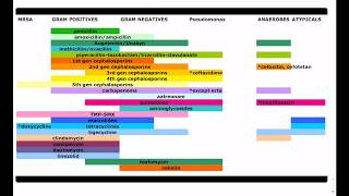 Antibiotic Coverage Made Easy  USMLE  COMLEX [upl. by Atiram846]