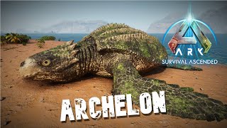 Taming An Archelon  Ark Survival Ascended [upl. by Skipp]