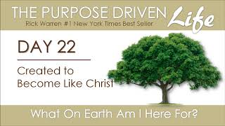 Purpose Driven Life  Day 22 [upl. by Nason42]