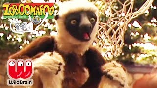 Zoboomafoo Best Animal Moments [upl. by Tann908]