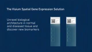 How it Works  Visium Spatial Gene Expression Solution [upl. by Notaes]