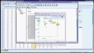 Ttest independent samples SPSS Age [upl. by Hieronymus154]