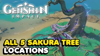 All 5 Sakura Tree Locations In Genshin Impact Sakura Arborism World Quest Guide [upl. by Ynomrah287]