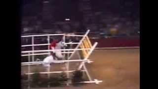 World Record Horse High Jump 2 32 meters [upl. by Aileek]