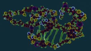 What is Protein Denaturation  Food Science [upl. by Suiraj190]