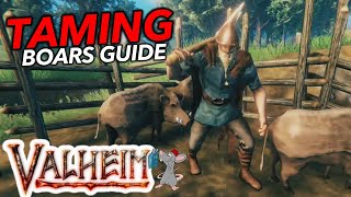 Unlimited leather Scraps How To Tame Boars In Valheim Quick Guide [upl. by Wieren308]